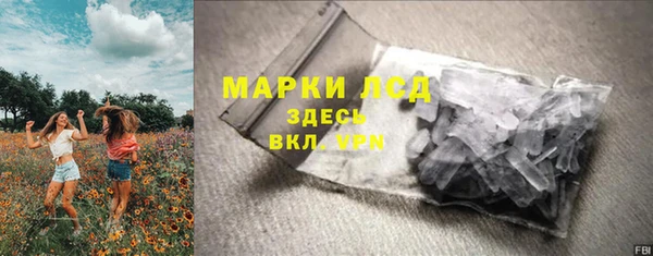 гидра Арсеньев