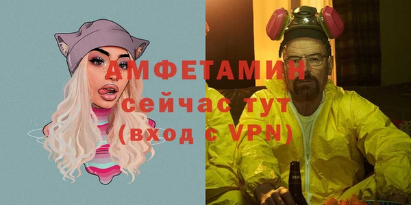 гидра Арсеньев
