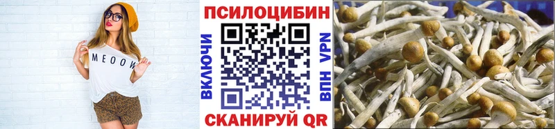 Галлюциногенные грибы MAGIC MUSHROOMS  маркетплейс клад  Малая Вишера  mega tor 