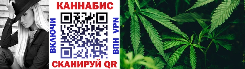 наркошоп  Малая Вишера  Каннабис AK-47 